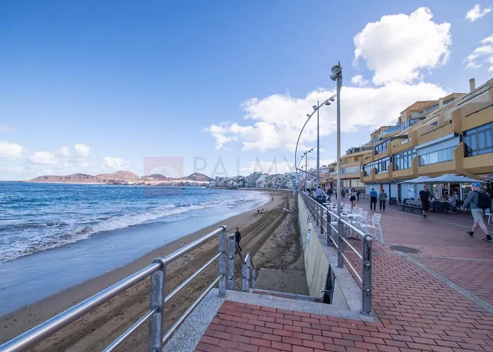 Trip Canteras, New Lejlighed